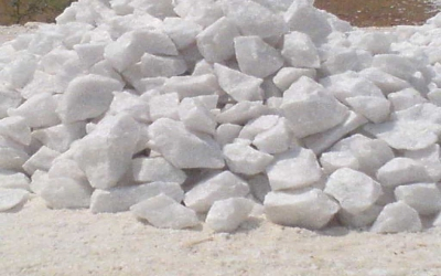 Hồ sơ năng lực