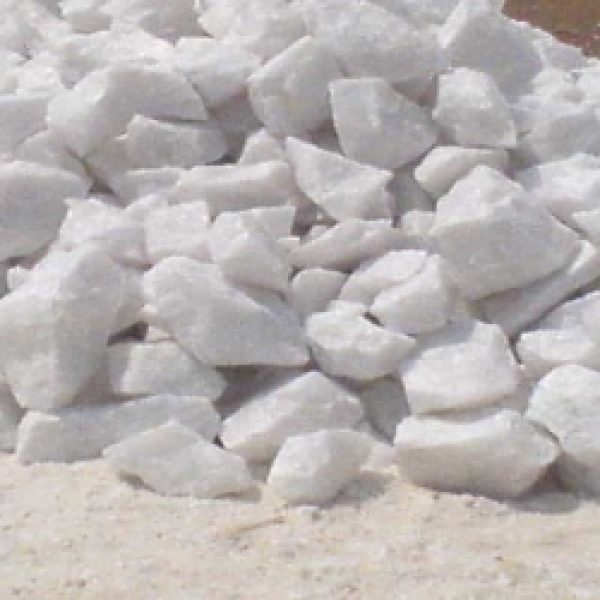 Hồ sơ năng lực